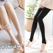 SN-LL604# ถุงน่องกันหนาว